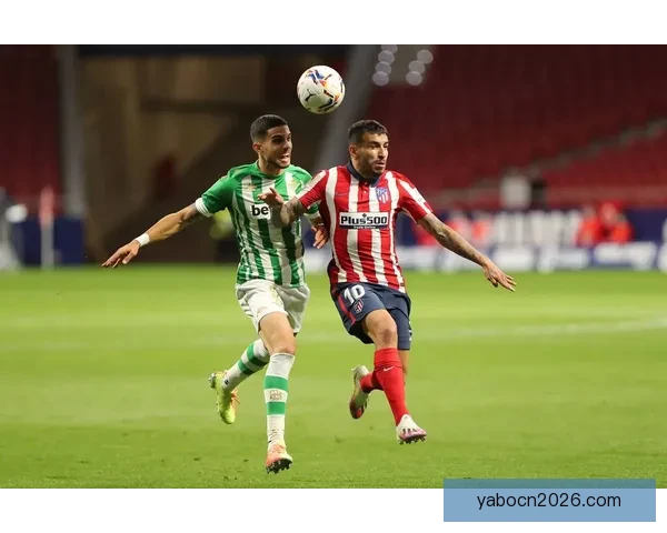 世界杯赛事竞猜盘口深度解析与胜负趋势全面预测